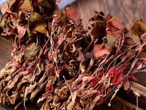 Super Grade Dried Anoectochilus Roxburghii chega aos mercados especializados