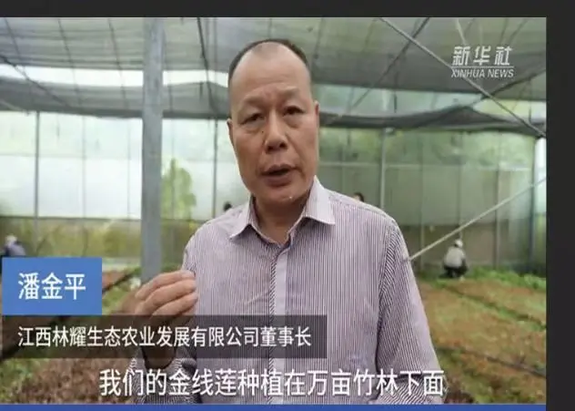 Pan Jinping, presidente da Jiangxi Linyao Ecological Agriculture Development Co., Ltd., entrevistado pela Agência de Notícias Xinhua