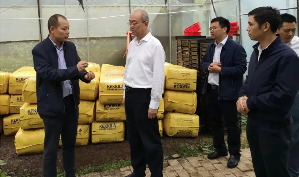 Xie Guanghua, Secretário do Partido e Diretor da Administração Provincial de Medicina Tradicional Chinesa de Jiangxi, conduz pesquisas na base de plantio de Anoectochilus